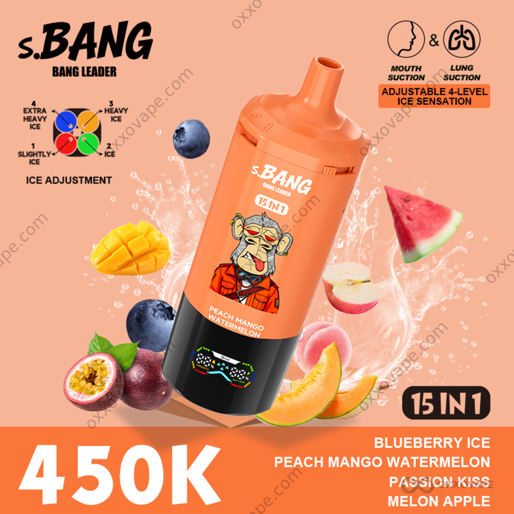 Bang Leader 450000 Puffs Blueberry Ice Peach Mango Watermelon Passion Kiss Melon Apple Flavor Set