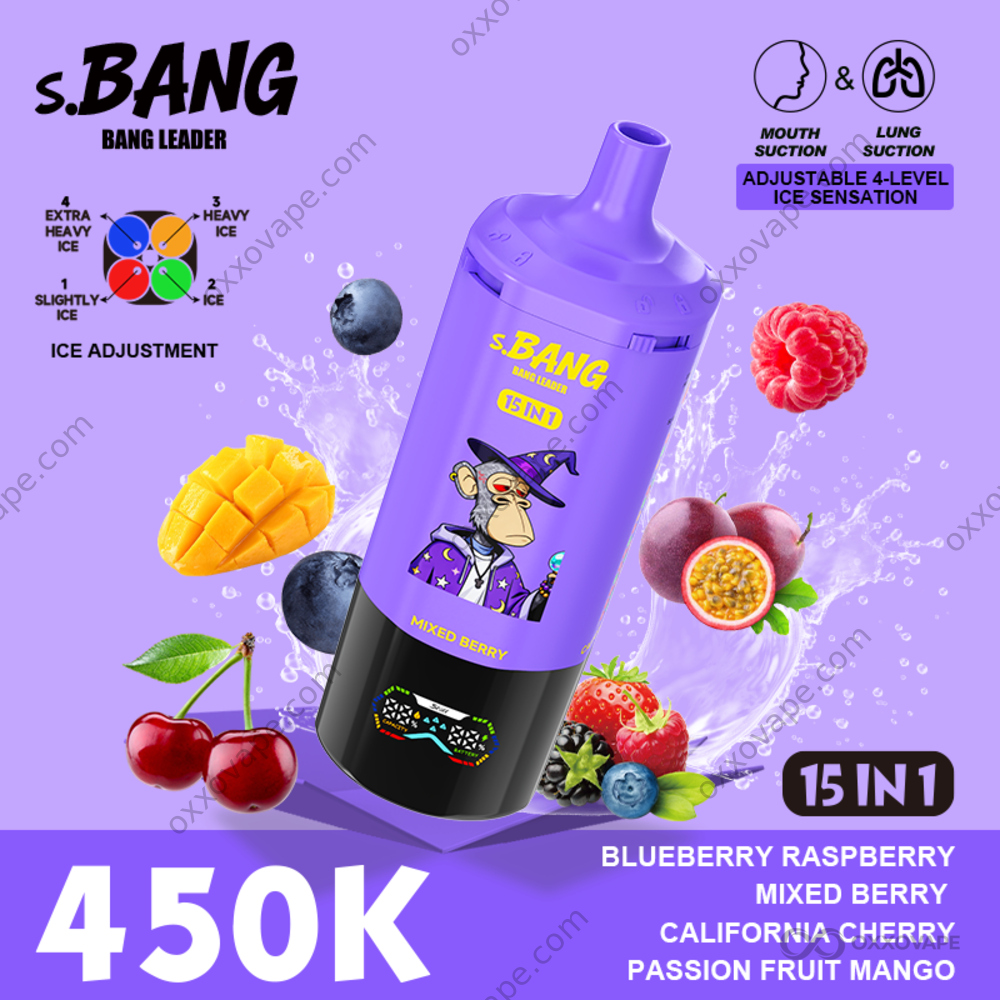 Bang Leader 450000 Puffs Blueberry Raspberry Mixed Berry California Cherry Passion Fruit Mango Flavor Set