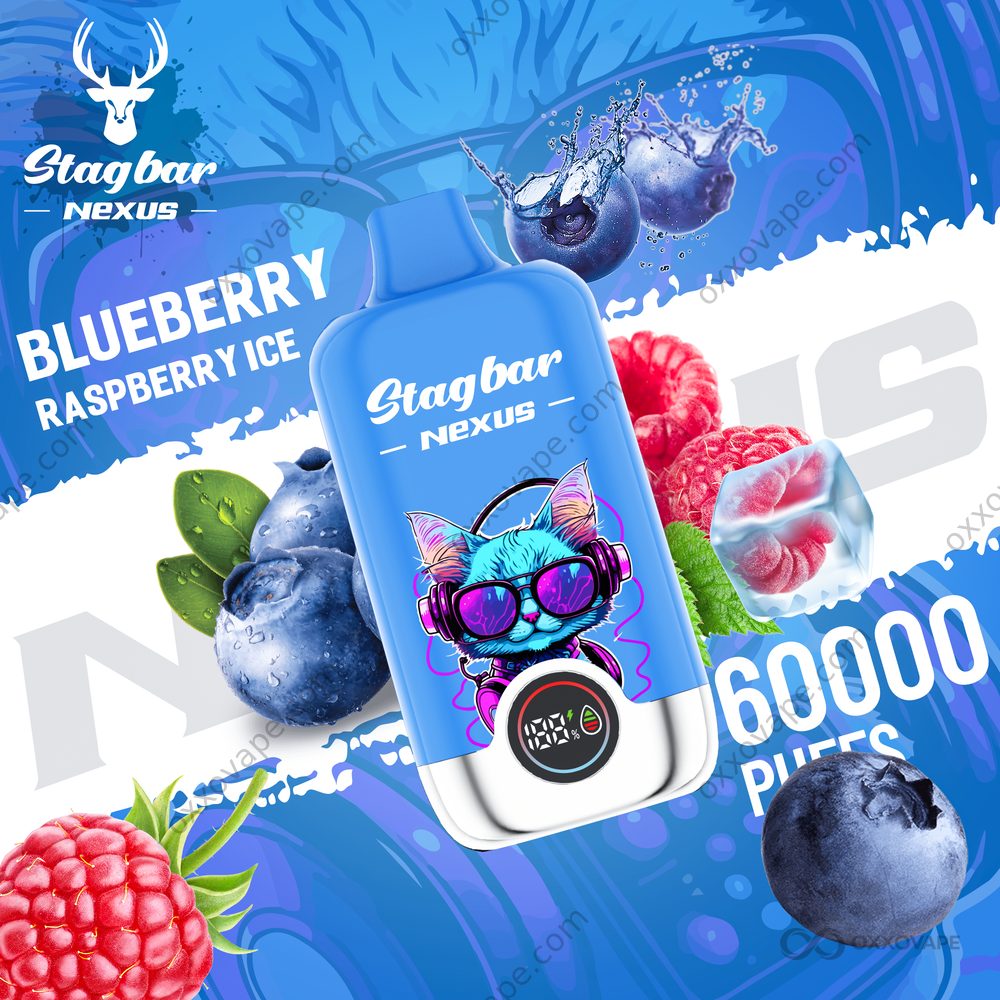 Blueberry Raspberry Ice