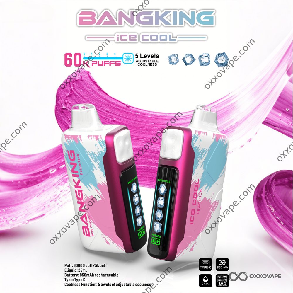 Bang King Ice Cool 60000 60K Puffs Disposable Vape | 5 Ice Levels