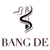 BANG DE official brand logo for authentic disposable vapes