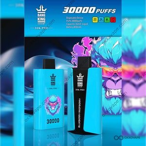 Gamme complète de produits Bang King 30000 Pro 30K Puffs jetables Vape avec toutes les variantes de saveur