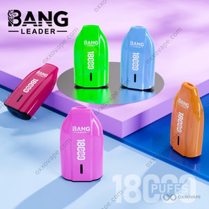 Gamme complète de saveurs de vape jetable Bang Leader 18000 18 000 bouffées avec port de chargement de type C