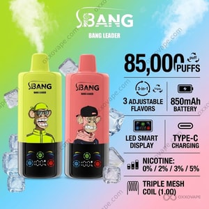 Bang Leader Triple 85000 85K パフ LED ディスプレイ付き使い捨てベープ フルフレーバー ラインナップ