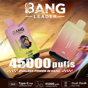 Bang Leader 45000 45K Puffs Vape jetable à double saveur avec affichage LED et bobine à double maille