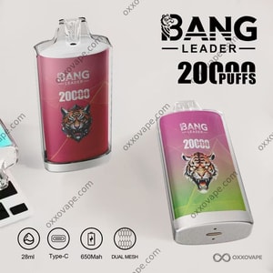 Bang Leader 20000 jednorazowy vape – widok z przodu pokazujący ekran i podstawę z podwójną siateczkową grzałką oraz przepływem powietrza