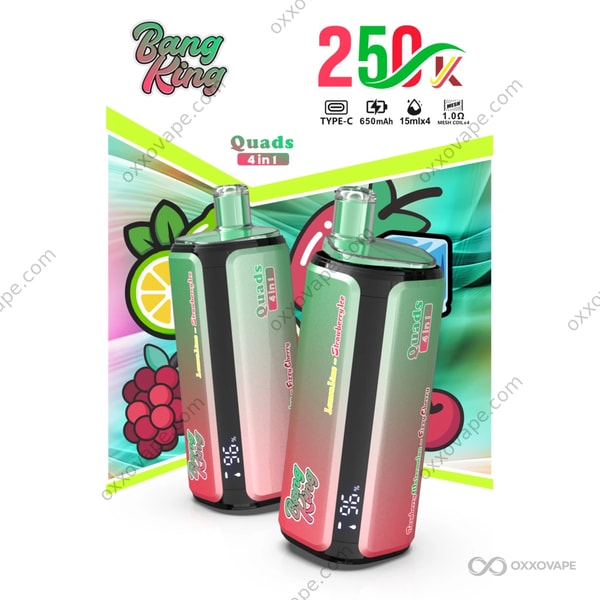 4 in 1 vape disposable Bang King 250000 250K Puffs | 4-in-1 Flavor Switch Quad Mesh Coil LED Display Colour:Spray Black Vaporesso Xros 4 Review T Scat Pack Sedan 4-Door