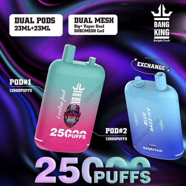 Bang King 25000 Puffs デュアル ポッド システムを備えた使い捨て Vape の全製品ビュー — EU Warehouse