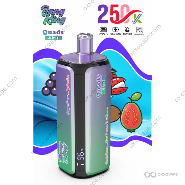 Bang King 250000 Puffs Geschmackskombination Grape Burst Lychee Ice Peach Berry Kiwi Passion Fruit Guave