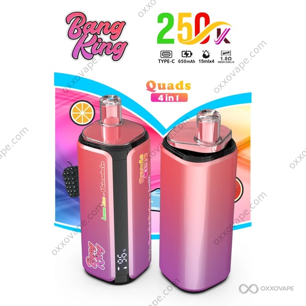 Bang King 250000 Puffs Geschmackskombination Lemon Lime Watermelon Ice Black Ice Dragon Fruit Strawberry Love 66