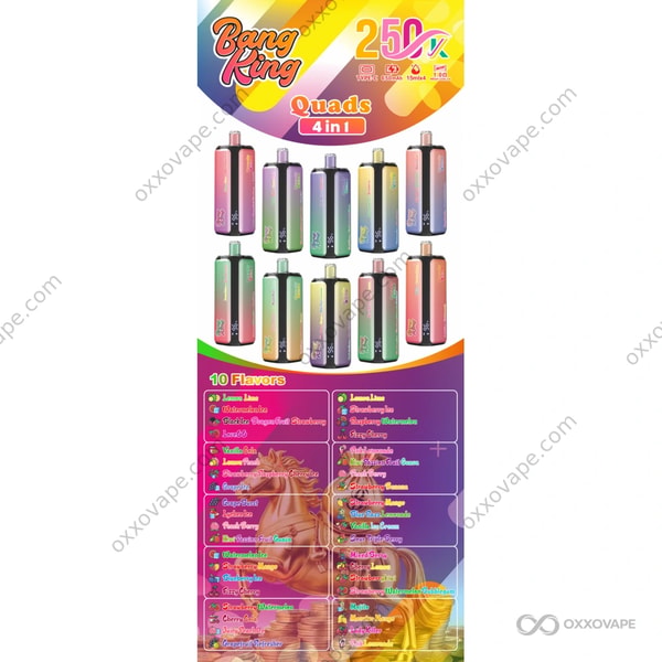 Bang King 250000 パフ 4-in-1 使い捨て Vape の正面図、デバイスのデザインと EU 倉庫での在庫状況を示しています