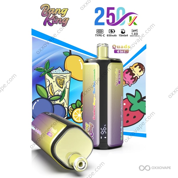 Bang King 250000 Strawberry Mango Blue Razz Lemonade Vanilla Ice Cream Sour Triple Berry 4-in-1-Vape