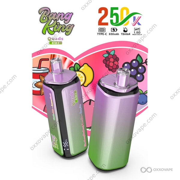Bang King 250000 Puffs Geschmackskombination Vanille Cola Zitrone Pfirsich Erdbeere Himbeere Kirsche Eis Traubeneis