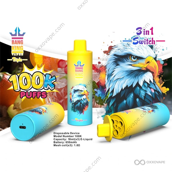 Bang King Triple 100000 Puffs Lemon Lime Strawberry Watermelon Blueberry Ice flavor vape