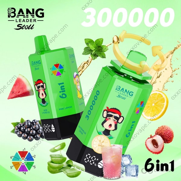 Bang Leader Stoll 300000 Combo 6 Aloe Lychee Ice Pink Lemon Glacier Ice Pine Needle Mint Black Currant Ice Watermelon Lemon