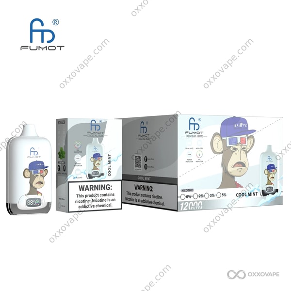 Fumot RandM Digital Box 12000 Cool Mint-Geschmack-Einweg-Vape mit eisigem Menthol-Profil