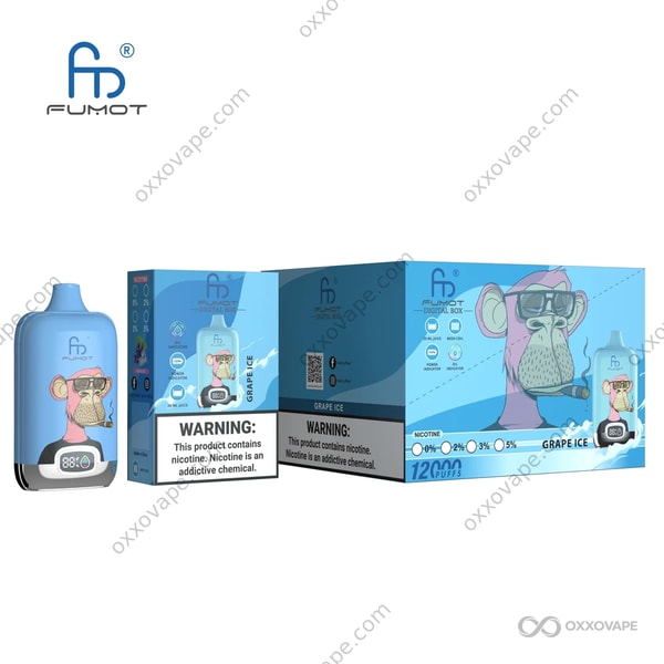 Fumot RandM Digital Box 12000 Grape Ice Geschmack dunkle Traube mit Menthol Einweg-Vape