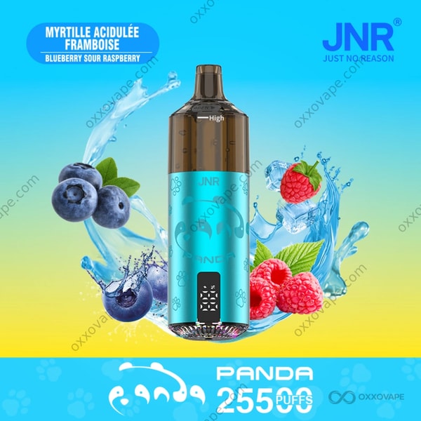 JNR Panda 25500 Blueberry Sour Raspberry – kräftiger süß-saurer Beeren-Kontrast-Dampf