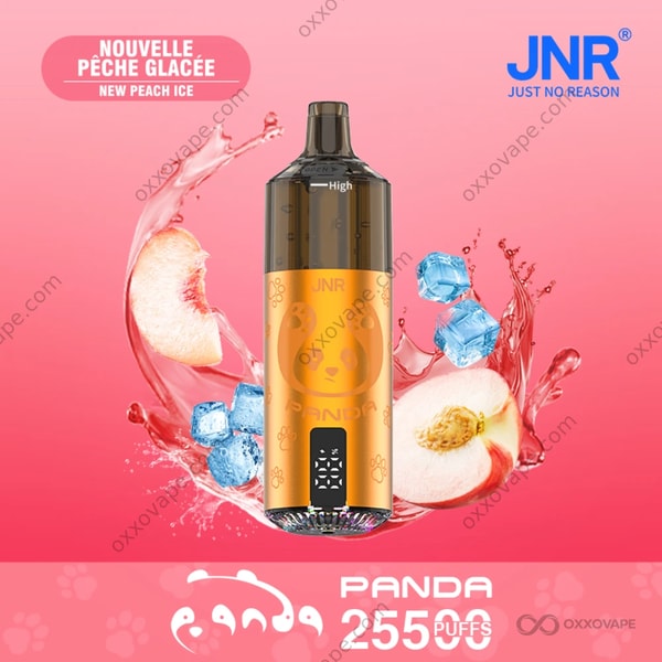 JNR Panda 25500 New Peach Ice – reifer, samtiger Pfirsich mit frostigem Menthol-Dampf