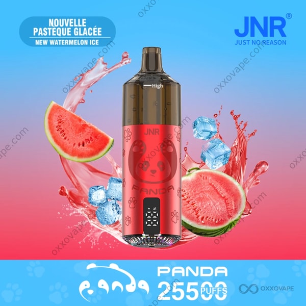JNR Panda 25500 New Watermelon Ice – leichte Sommerwassermelone mit frostigem Ausatemdampf