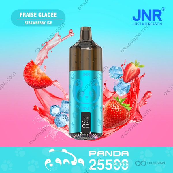 JNR Panda 25500 Strawberry Ice – sonnengereifte Erdbeere mit knackigem Menthol-Dampf