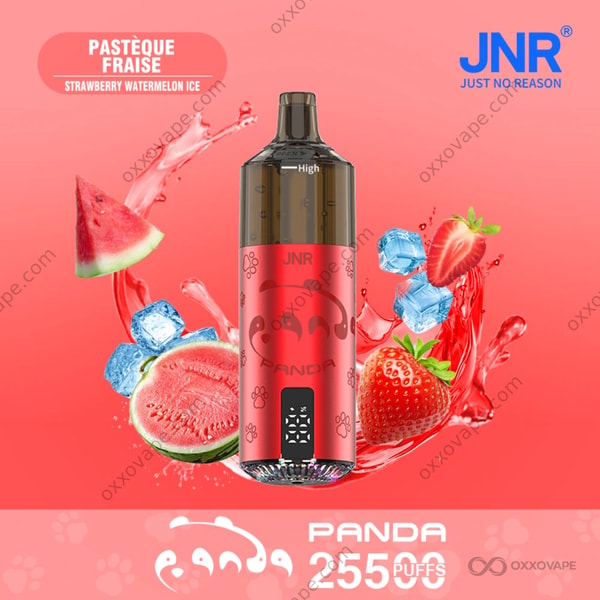 JNR Panda 25500 Erdbeer-Wassermelonen-Eis – eisiger Erfrischungsdampfer mit zwei Früchten