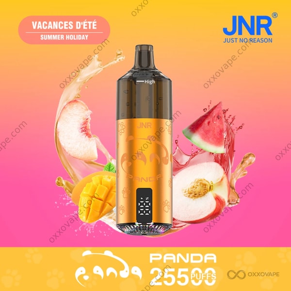 JNR Panda 25500 Summer Holiday – Vape mit tropischer Mango-Ananas-Zitrus-Mischung