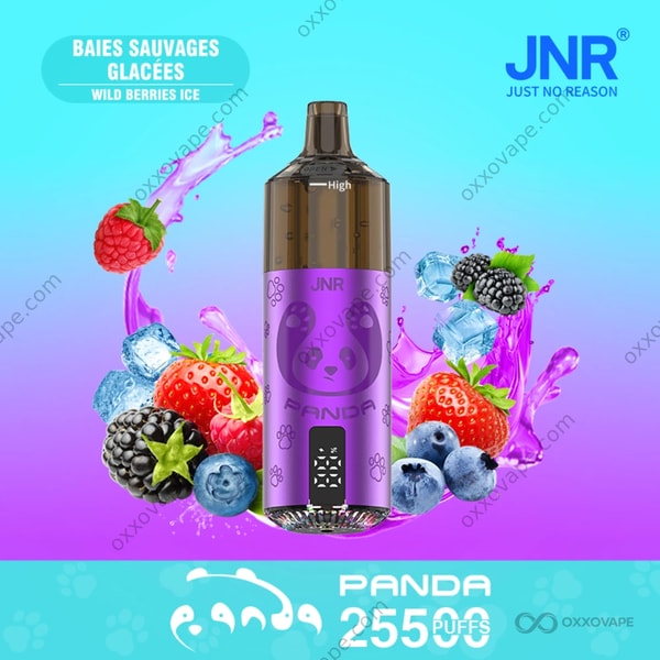JNR Panda 25500 Wild Berries Ice – Brombeer- und Waldhimbeer-Dampf