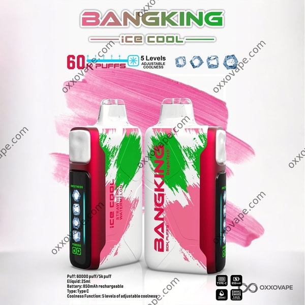 Bang King Ice Cool 60000 60K Puffs Strawberry Watermelon Einweg-Vaporizer wiederaufladbar