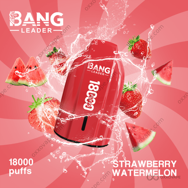 Bang Leader 18000 Strawberry Watermelon flavor 18000 puffs disposable vape