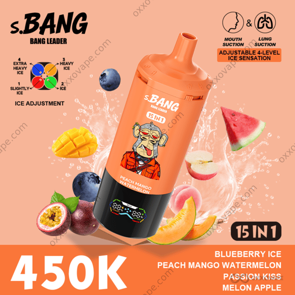 Bang Leader 450000 Puffs Blueberry Ice Peach Mango Watermelon Passion Kiss Melon Apple Flavor Set