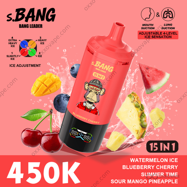 Bang Leader 450000 Puffs Watermelon Ice Blueberry Cherry Summer Time Sour Mango Pineapple Flavor Set