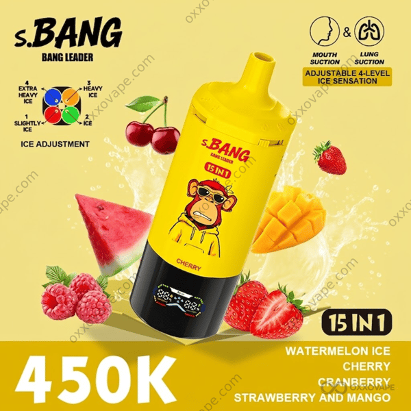 Bang Leader 450000 Puffs Watermelon Ice Cherry Cranberry Strawberry Mango Flavor Set