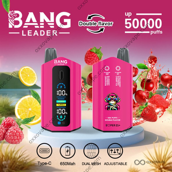 Bang Leader 50000 Blaubeer-Himbeer-Limonade und Erdbeer-Himbeer-Kirsch-Eis-Einweg-Vape mit zwei Geschmacksrichtungen