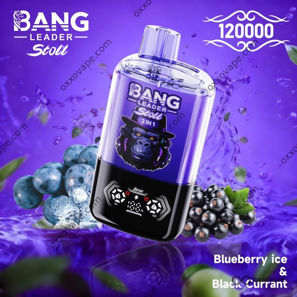 Bang Leader Stoll 120000 Einweg-Vape mit zwei Geschmacksrichtungen, Blaubeereis und schwarzer Johannisbeere