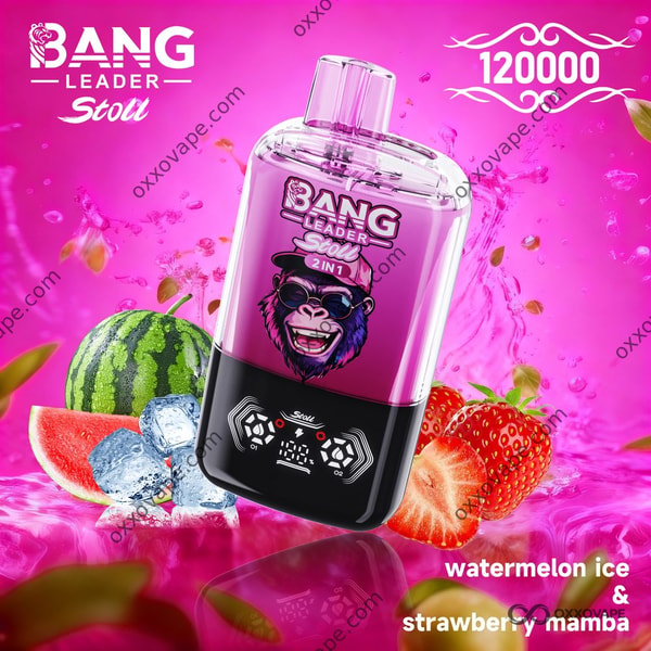 Bang Leader Stoll 120000 Watermelon Ice und Strawberry Mamba Dual-Flavor Einweg-Vaporizer