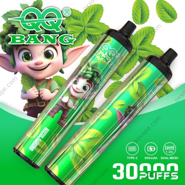 QQ Bang 30000 Puff Slim Disposable Vape Mint Ice Flavor — Pure Intense Cooling Menthol