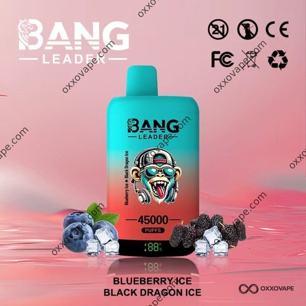 Bang Leader 45000 Blueberry Ice und Black Dragon Ice Einweg-Vape-45K-Puffs mit zwei Geschmacksrichtungen