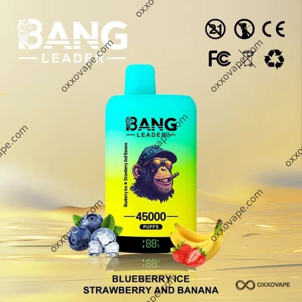 Bang Leader 45000 Blueberry Ice und Strawberry Banana Dual Flavour Einweg-Vape 45K Puffs