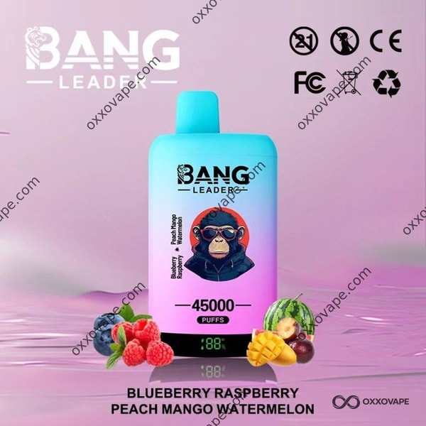 Bang Leader 45000 Blaubeer-Himbeer- und Pfirsich-Mango-Wassermelonen-Einweg-Vape mit zwei Geschmacksrichtungen