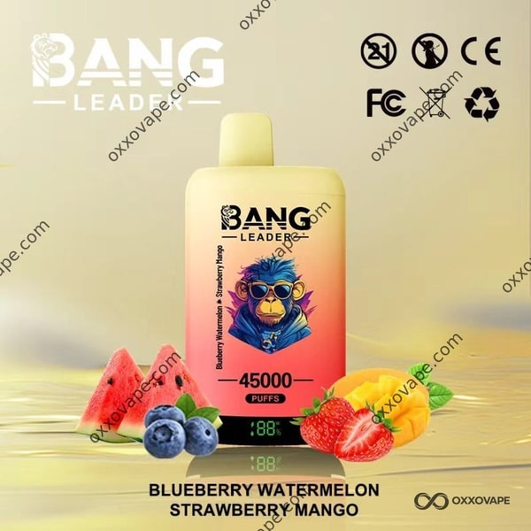 Bang Leader 45000 Blaubeer-Wassermelone und Erdbeer-Mango-Einweg-Vape-45K-Puffs mit zwei Geschmacksrichtungen