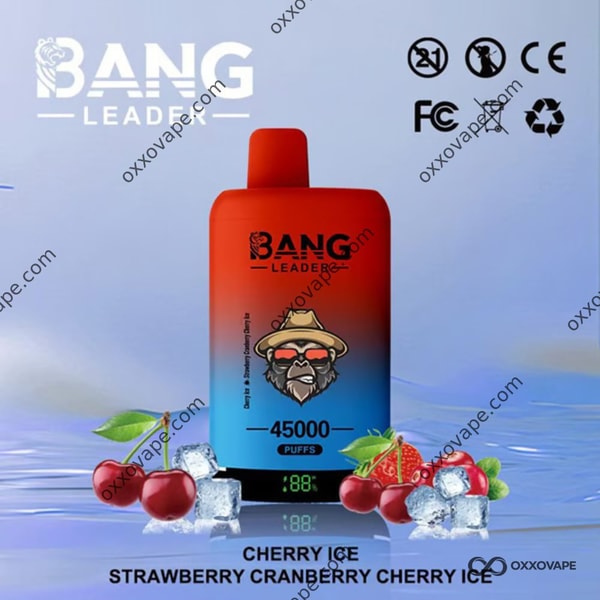 Bang Leader 45000 Cherry Ice und Strawberry Cranberry Cherry Ice Einweg-Vape-45K-Puffs mit zwei Geschmacksrichtungen