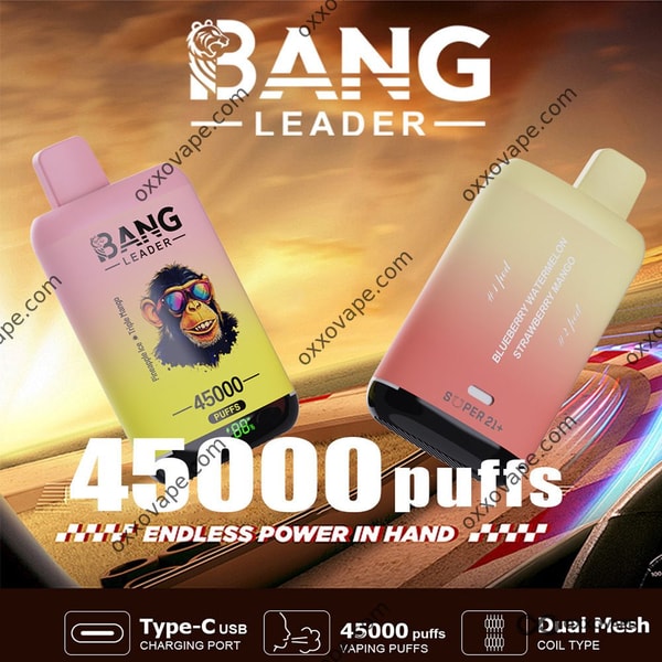 Bang Leader 45000 45K Puffs Einweg-Vaporizer mit zwei Geschmacksrichtungen, LED-Anzeige und Dual-Mesh-Spule