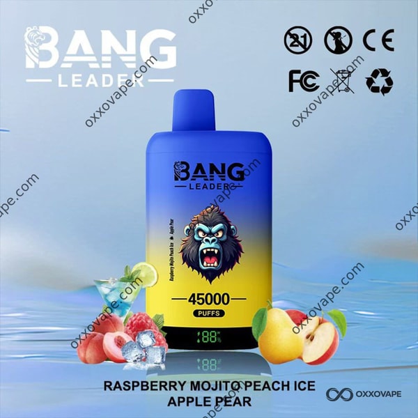 Bang Leader 45000 Einweg-Vape-45K-Puffs mit Himbeer-Mojito-Pfirsich-Eis und Apfelbirne mit zwei Geschmacksrichtungen