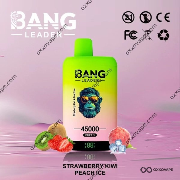 Bang Leader 45000 Erdbeer-Kiwi- und Pfirsich-Eis-Einweg-Vape-45K-Puffs mit zwei Geschmacksrichtungen