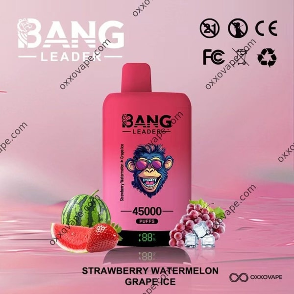 Bang Leader 45000 Erdbeer-Wassermelonen- und Traubeneis-Einweg-Vape-45K-Puffs mit zwei Geschmacksrichtungen