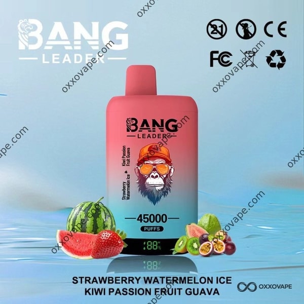 Bang Leader 45000 Einweg-Vape mit Erdbeer-Wassermelonen-Eis und Kiwi-Passionsfrucht-Guave mit zwei Geschmacksrichtungen