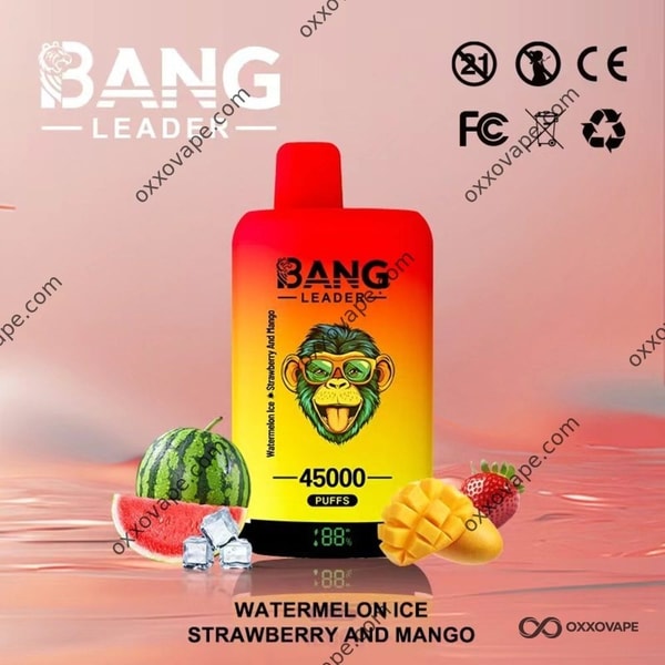 Bang Leader 45000 Einweg-Vape-45K-Puffs mit Wassermelonen-Eis und Erdbeer-Mango-Dual-Geschmack