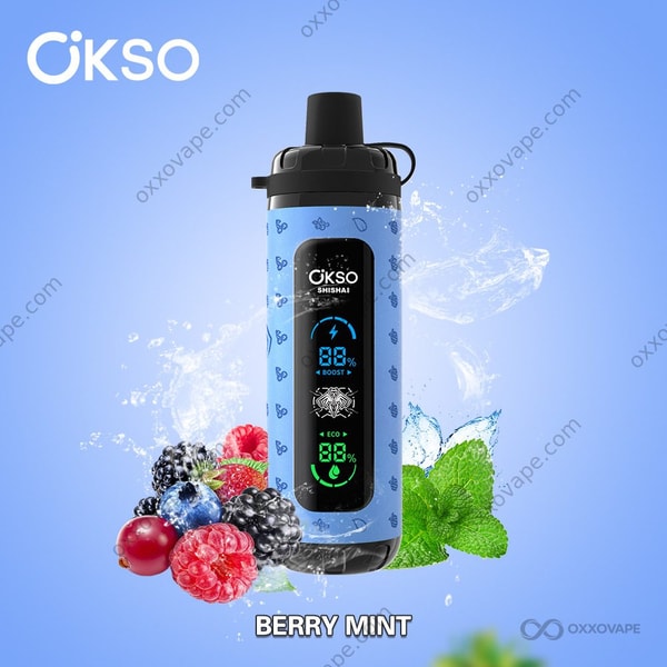 Verpackung der Berry Mint Geschmacksrichtung für den OKSO Shisha Max 40000 Einweg-Vape mit gemischten Beeren und Minzblatt-Motiv