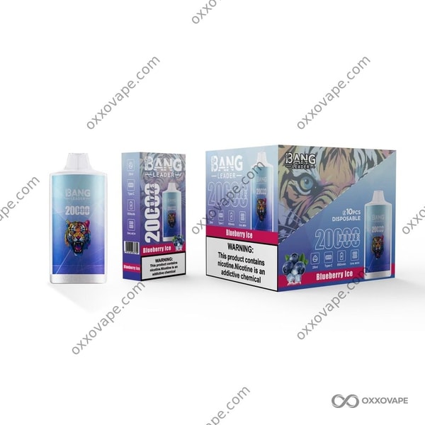 Blueberry Ice flavor box for Bang Leader 20000 vape with frosted blueberry cluster artwork